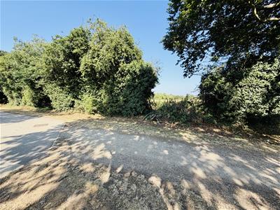 Picture 21